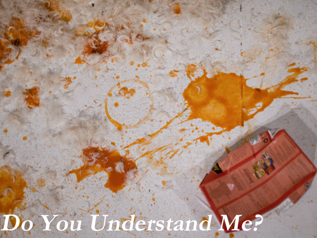 Do You Understand Me title